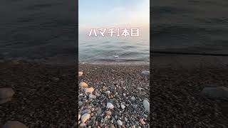 【釣り 富山 青物】#釣り #青物 #ハマチ #富山 #遠出 #ショアジギング #shorts #魚