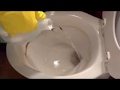 Put Vinegar Into a Toilet, and watch what Happens