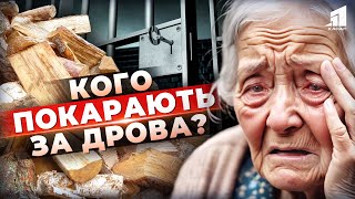 😱Скандальний закон про дрова! Нові подробиці. Що кажуть юристи?