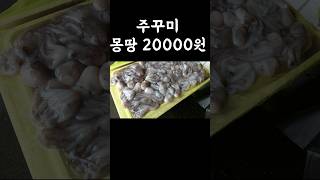 주꾸미 몽땅 박스 20000원! 실화? 여기어디? #가락동수산시장 #주꾸미 #수산물 #Garak-dong Fish Market Seoul