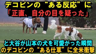 デコピンの“ある反応”に「正直、自分の目を疑った」と大谷が山本の犬を可愛がった瞬間のデコピンの“ある仕草”に全米衝撃