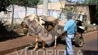 Carroceiro é exemplo com disposição e bom humor no trabalho