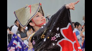 20230826原宿表参道スーパーよさこい2023（十人十彩）【ＨＤ・原画４Ｋ】