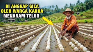 ENTAH APA YANG DIPIKIRKAN KAKEK TUA INI‼️ TERNYATA INILAH MANFAAT MENANAM TELUR DI SAWAH‼️