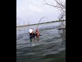 big rohufish fishing in single hook best hook fishing