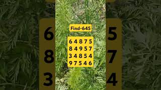 Observation Visual Test: 5 Seconds ForYou To Spot . Try Your Skills! #search #puzzle #shorts