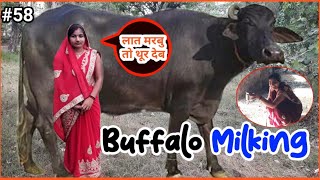 🐃 Buffalo Milking || लात मरबु तो थूर देब 😂 || Renu Jeetu Vlogs