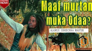 Alamuu Iddeechaa - Maaf MurtanMuka Odaa? / New Ethiopian Oromo music 2021 (Official video)