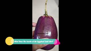 What Does the Inside of An Eggplant Look Like? Sliced, Open, When Bad