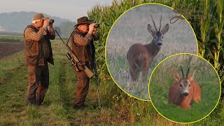 Hunting an old Roebuck in Croatia - Sv. Martin 2020