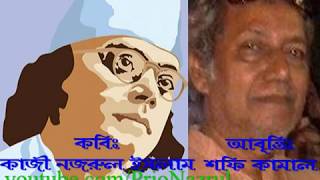 Kheya parer toroni।। Kazi Nazrul Islam ।। Shofi Kamal।। খেয়া পারের তরণী