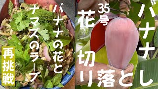 令和6年9月28日35号花切り落とし／ナマズのラープ再挑戦 ລາບປາດຸກໃຊ້ໝາກປີ 鉢植え　ドワーフナムワ