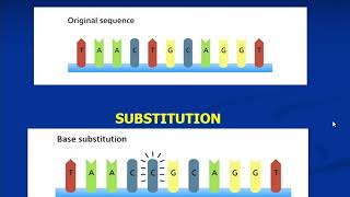 7 Mutations