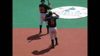 Air Raid at a Baseball Game!