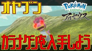 【ポケモンアルセウス】オヤブンのカラナクシを入手しよう【Pokémon LEGENDS アルセウス】