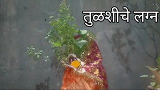 तुळशीचे लग्न| तुळशी विवाह| वृंदा विवाह| tulshiche lagna | tulas vivah |