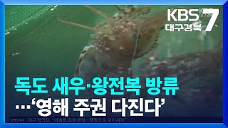 [여기는 포항] 독도 새우·왕전복 방류…‘영해 주권 다진다’ / KBS  2023.05.30.