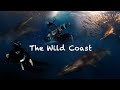 Sardine Run South Africa | The Film | Sony A7S III