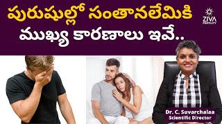 మగవాళ్లలో సంతానోత్పత్తి సమస్యలు | Male Infertility Causes Telugu | Dr C Suvarchala | Ziva Fertility