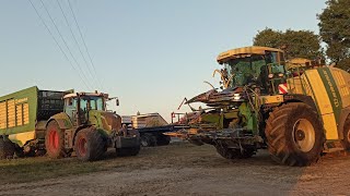 Kukurydza na kiszonkę 2022 czyli mar-pol w akcji! Fendt 824 krone big x 600! Rolwizja