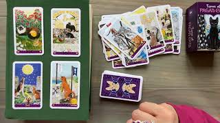 Смотрим мои новые карты для гадания! Pagan Cats Tarot. Flip thru. Обзор колоды Языческие Коты. Таро