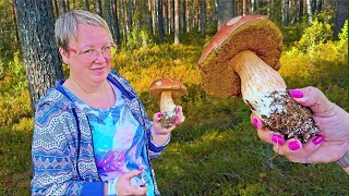 Нашла огромный Белый Гриб! 🍄‍🟫 Но облом! Стоит Яне только захотеть! Лучшие пирожные России День 04