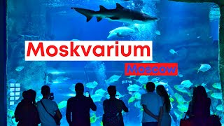 Moskvarium, the largest aquarium in Europe