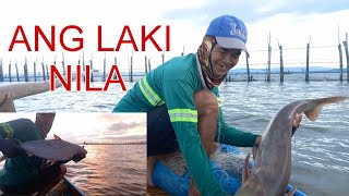 NAKAHULI NG MALAKING BANGUS SA PAG TIBOG ,AT NAKAHULI PARIN ANG NAKATINGANG LAMBAT SA LAGUNA LAKE