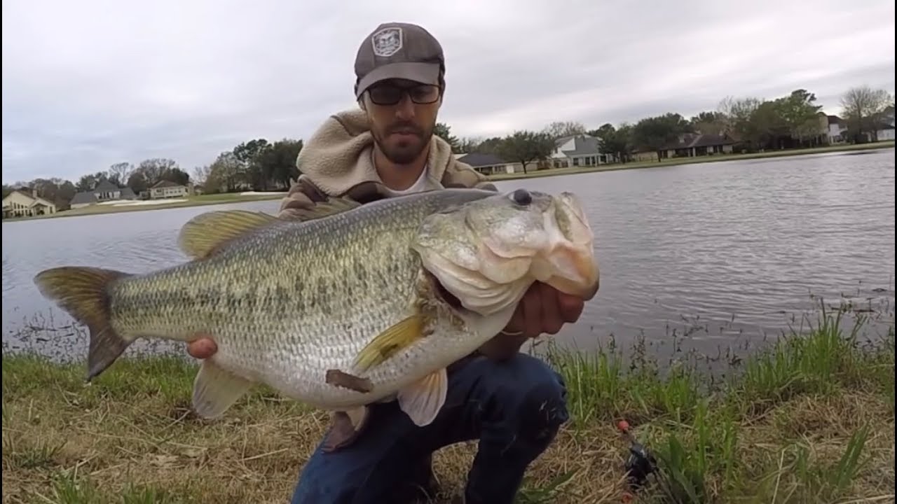 TOP 3 HUGE LARGEMOUTH BASS CAUGHT ON CAMERA! (compilation) - YouTube