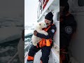 part 1 cute polar bear cub rescued by volunteer rescue team polarbear animalrescue animals