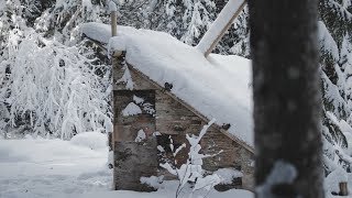 Bushcraft BIRCH BARK Walls! - Building a Long-term Camp | Entry: 007 - Camp Firlend