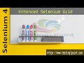 Tutorial #2 : Enhanced Selenium Grid in Selenium 4 | Latest Version of Selenium | TestingLPoint