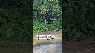 朱銘美術館遭暴雨襲擊！200坪地下停車場淹2.3米高 #shorts