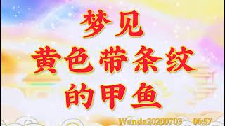 卢台长开示：梦见黄色带条纹的甲鱼Wenda20200703   06:57