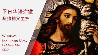 2023.4.11 复活节八日庆星期二，主徒会--马帅神父主祭 Mandarin Mass celebrated by Fr Mark, CDD