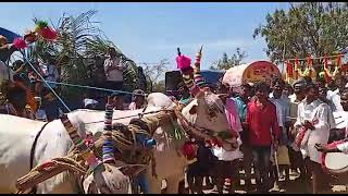 sri veeranarayana swamy parasa powerful bulls hussanipuram