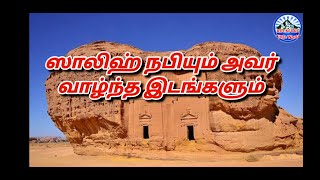 ஸாலிஹ் நபியும் அவர்கள் வாழ்ந்த இடங்களும்/Shalih nabi