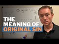 The Meaning of Original Sin