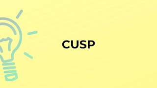 What is the meaning of the word CUSP?