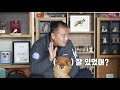 당첨자발표 똑똑하개🐶 키울고양🐱 반려동물 행동교정🏫 분리불안 처방 개편한 세상 반려동물 친화도시