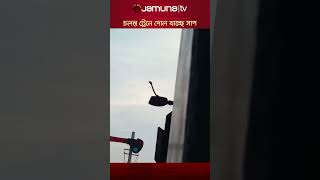 যাত্রীবাহী চলন্ত ট্রেনে দোল খাচ্ছিল সাপটি | Snake in Train | Jamuna TV