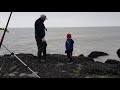 vissen strand blankenberge wijting🐟2020belgie zee 🐟zeevissen vanaf de kant