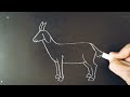 how to draw a goat 🐐ஆடு படம் வரைதல் goat drawing easy step by step