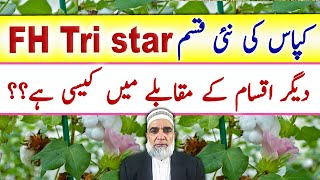 New Cotton Variety FH Tri Star || Crop Reformer