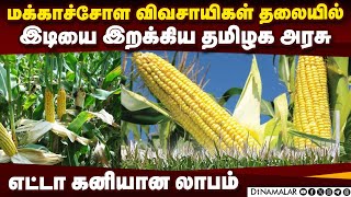 மக்காச்சோள செஸ் வரி விதிப்பில் இத்தனை நடைமுறை சிக்கலா! | Maize farming | 1% cess tax | Farmers, Trad