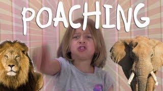 What is Poaching? - Greyson Explains