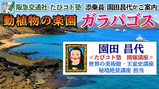 阪急交通社たびコト塾添乗員園田昌代がご案内～ガラパゴス～