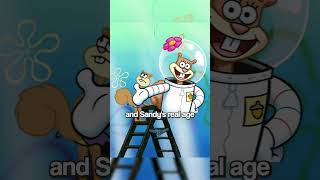 How Old are SpongeBob Characters? #spongebob #nickelodeon #spongebobsquarepants