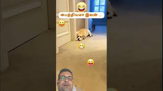 அட டேய் என்னா நடிப்புட்டா சாமி #funny #😀😁😁...