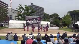 鬼灯     青嵐     2015黒崎よさこい祭り